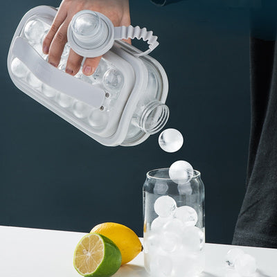 Eiswürfelformer / Flasche (2 in 1)